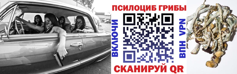 Галлюциногенные грибы Cubensis  это какой сайт  Миньяр  блэк спрут маркетплейс 